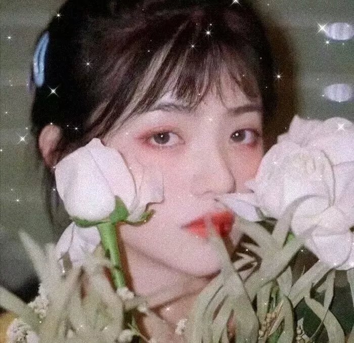 我的媳妇不好惹
